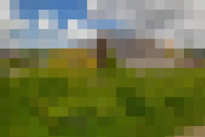Tjariet 41 Groningen thumbnail 41