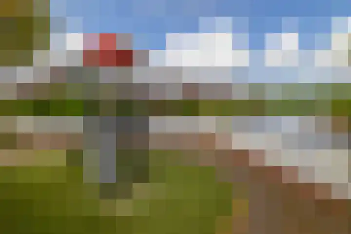 Tjariet 41 Groningen thumbnail 42