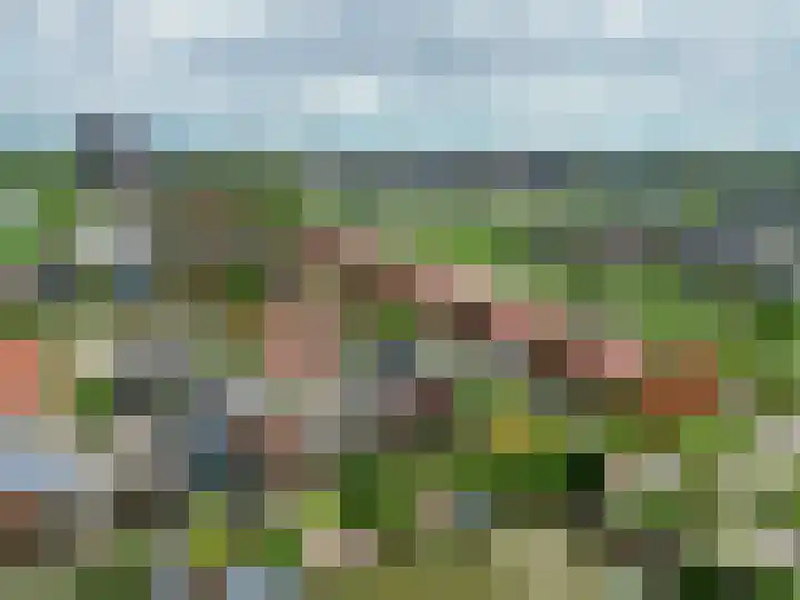 Tjariet 41 Groningen thumbnail 44