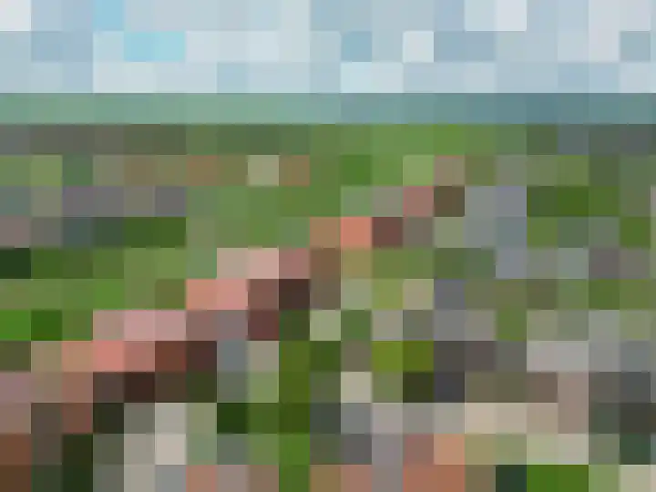 Tjariet 41 Groningen thumbnail 45