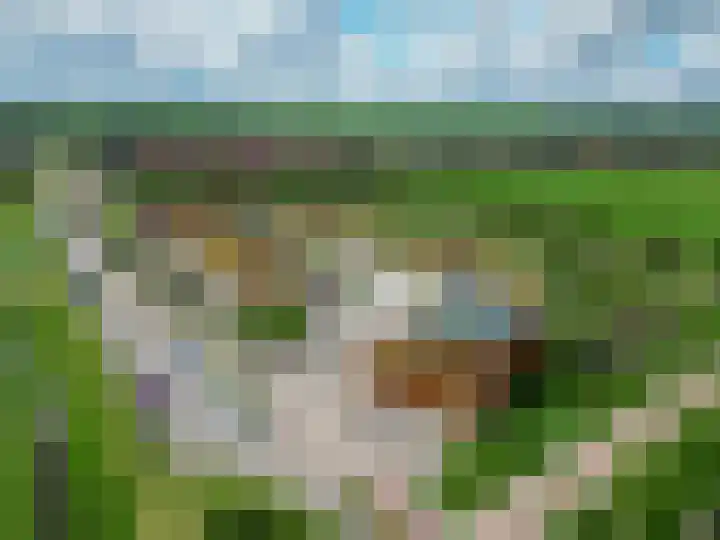 Tjariet 41 Groningen thumbnail 47