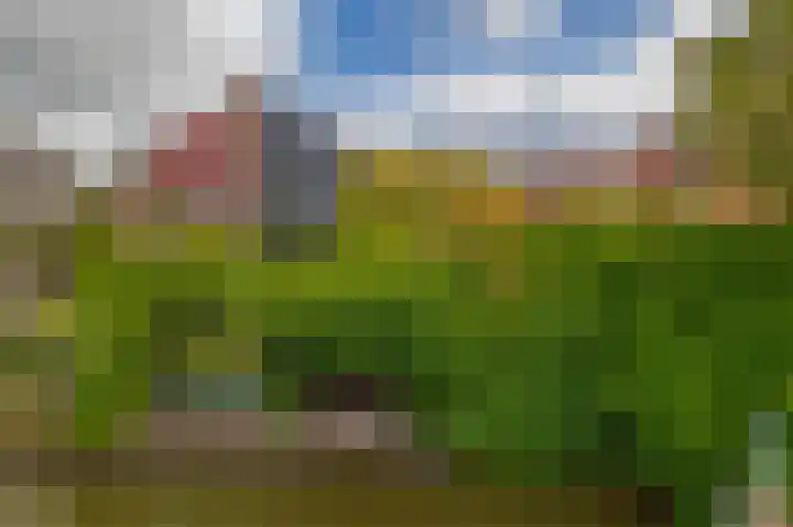 Tjariet 41 Groningen thumbnail 5