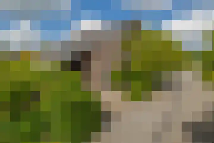 Tjariet 41 Groningen thumbnail 6