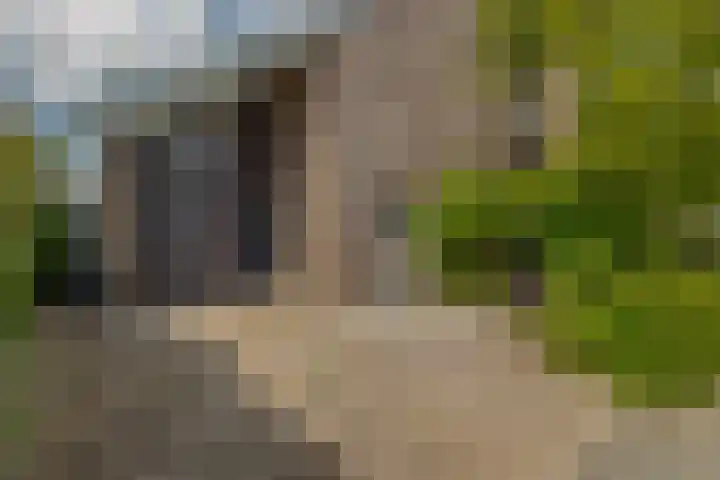 Tjariet 41 Groningen thumbnail 7