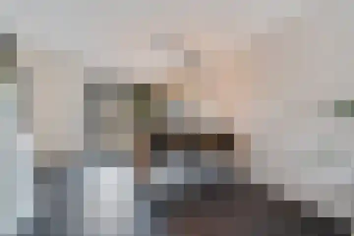 Tjariet 44 Veendam thumbnail 12