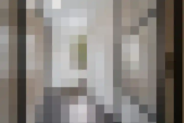 Tjariet 44 Veendam thumbnail 18