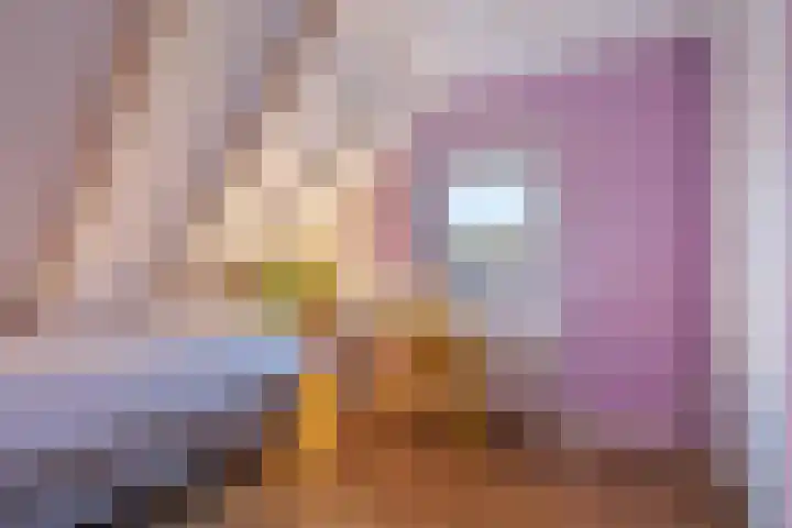 Tjariet 44 Veendam thumbnail 22