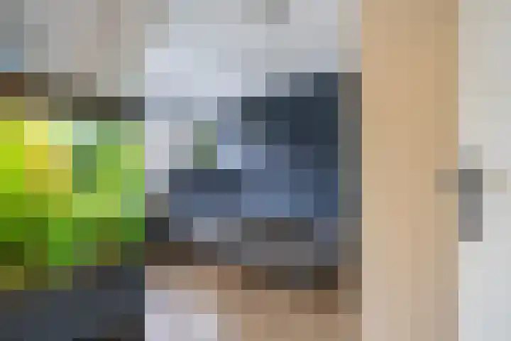 Tjariet 44 Veendam thumbnail 23