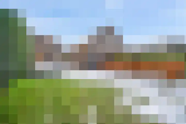 Tjariet 44 Veendam thumbnail 34