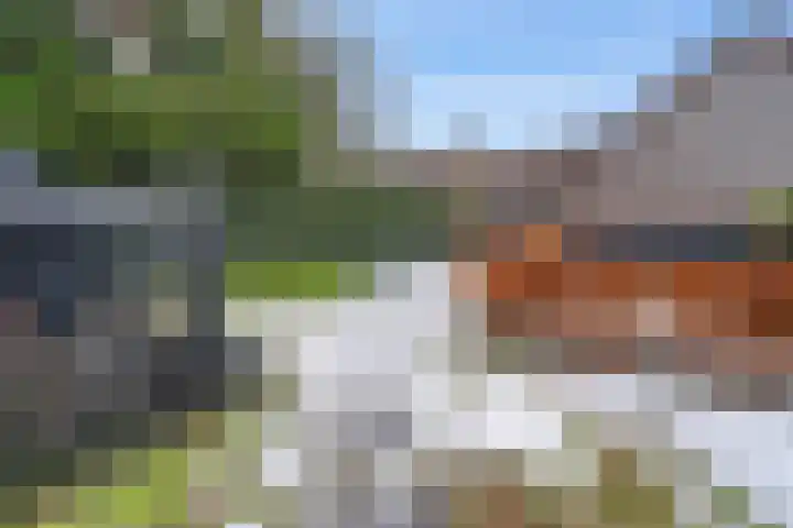 Tjariet 44 Veendam thumbnail 35