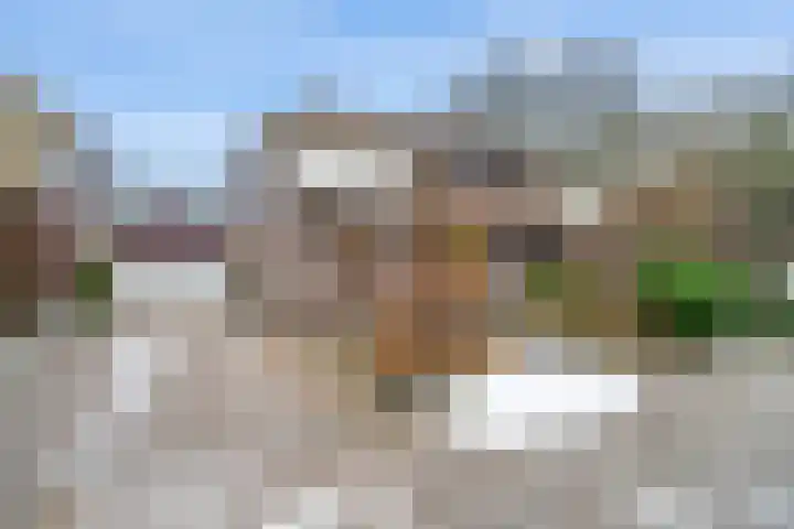 Tjariet 44 Veendam thumbnail 41