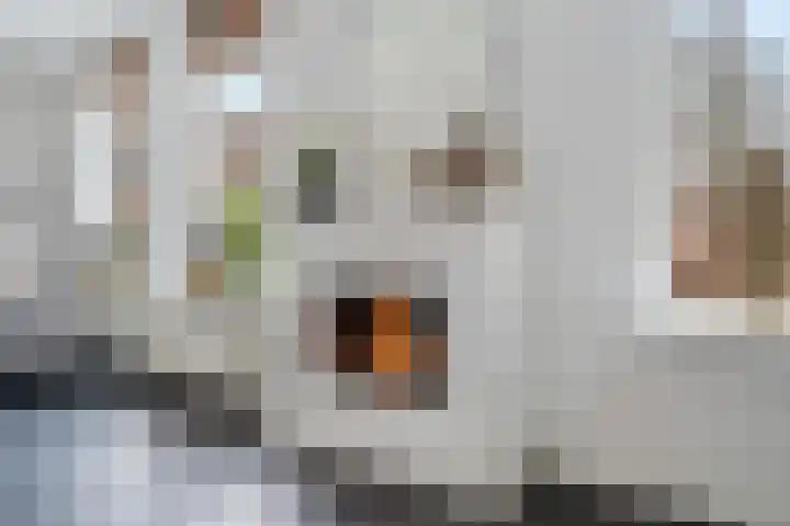 Tjariet 44 Veendam thumbnail 9