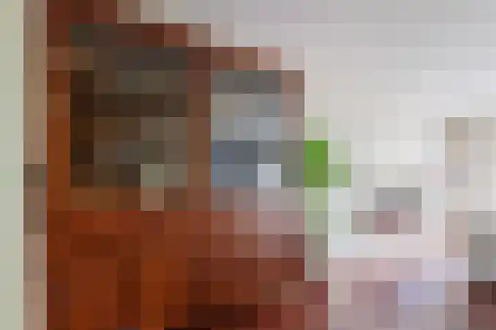 Tjariet 56 Groningen thumbnail 11