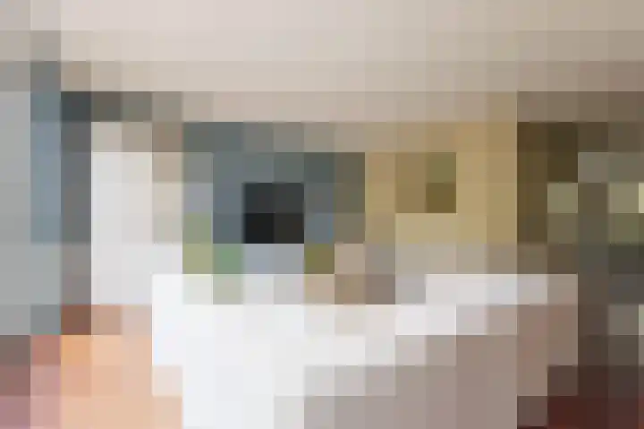 Tjariet 56 Groningen thumbnail 13
