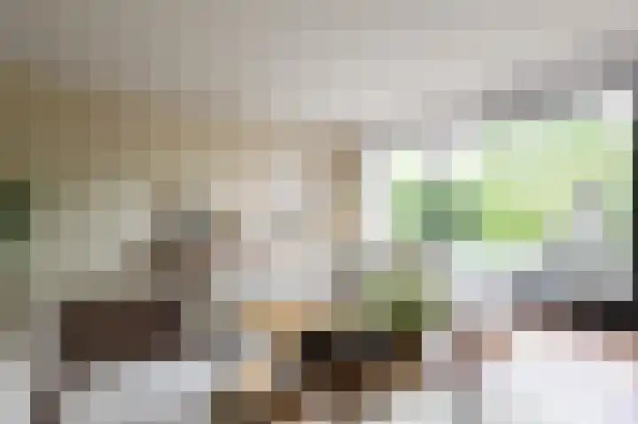 Tjariet 56 Groningen thumbnail 15