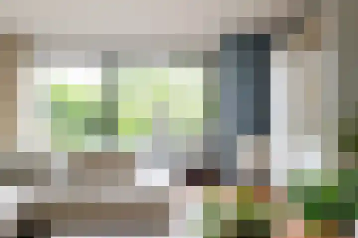 Tjariet 56 Groningen thumbnail 16