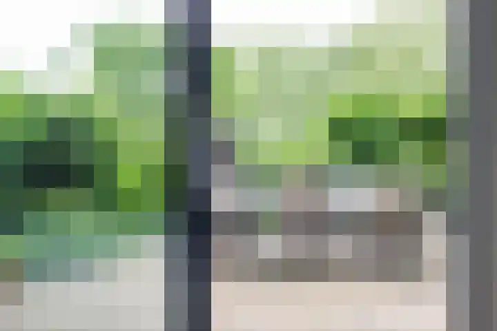Tjariet 56 Groningen thumbnail 17