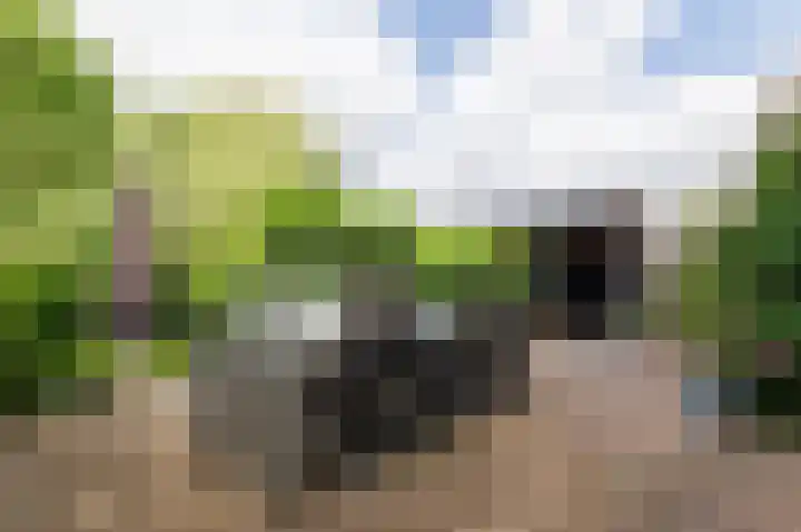 Tjariet 56 Groningen thumbnail 18