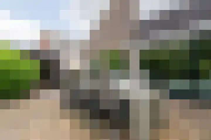 Tjariet 56 Groningen thumbnail 19