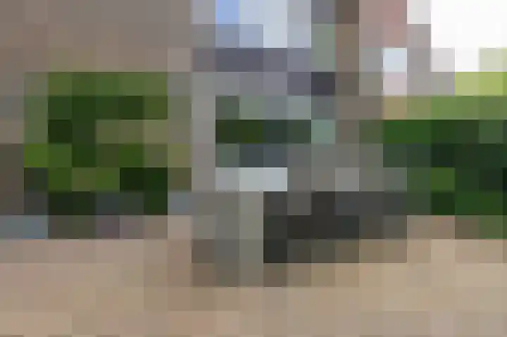 Tjariet 56 Groningen thumbnail 20