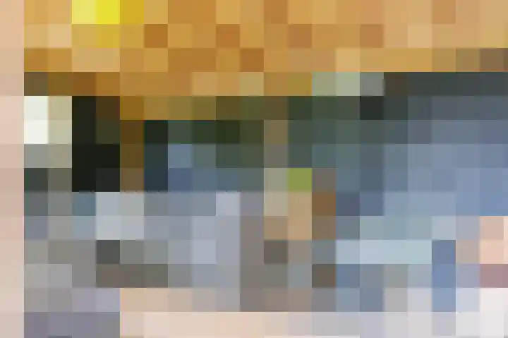 Tjariet 56 Groningen thumbnail 22