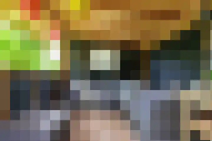 Tjariet 56 Groningen thumbnail 23