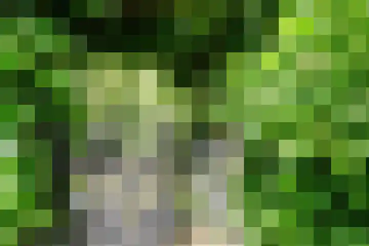 Tjariet 56 Groningen thumbnail 24