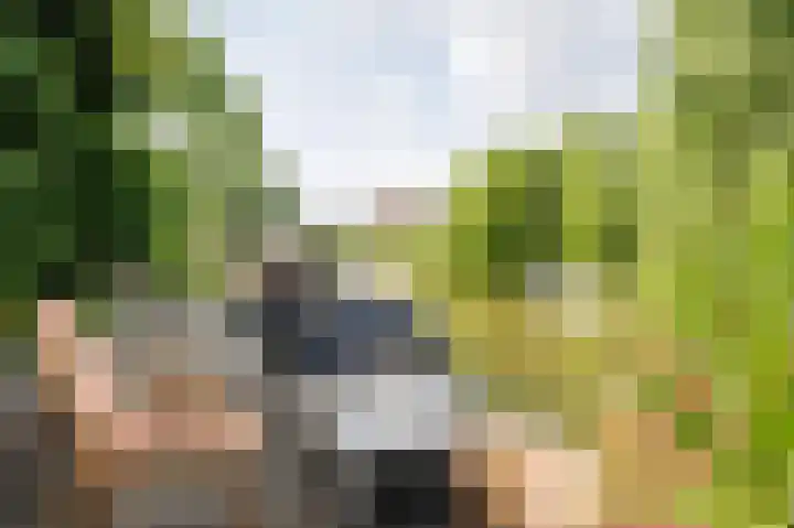 Tjariet 56 Groningen thumbnail 25