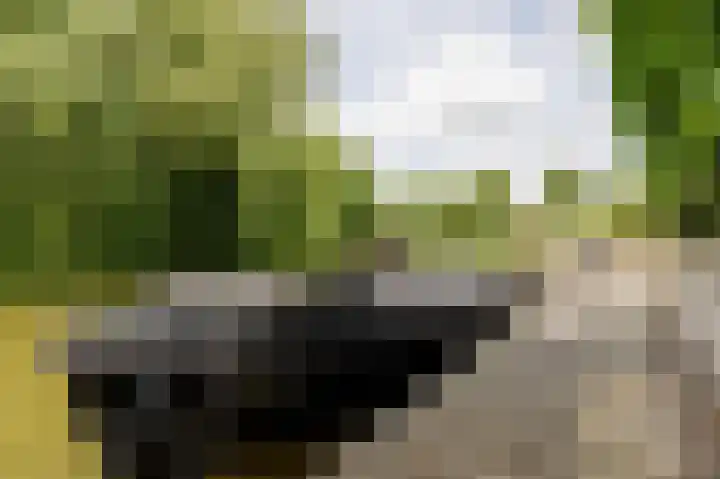 Tjariet 56 Groningen thumbnail 26