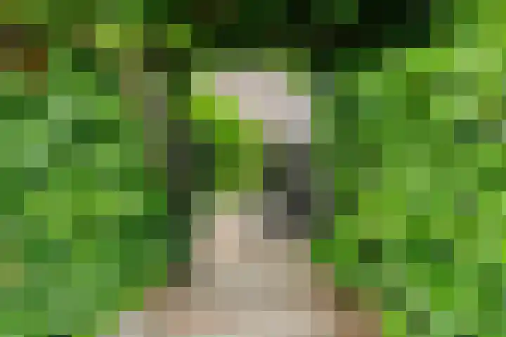 Tjariet 56 Groningen thumbnail 27