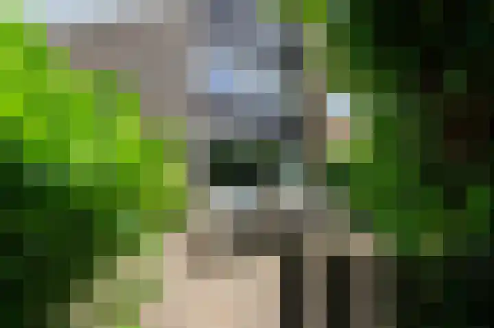 Tjariet 56 Groningen thumbnail 28