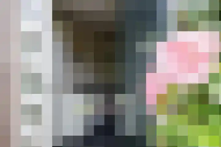 Tjariet 56 Groningen thumbnail 29