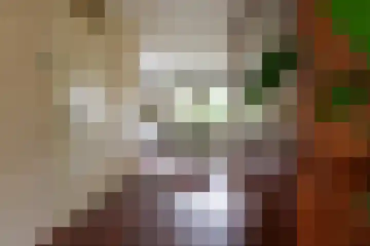 Tjariet 56 Groningen thumbnail 30