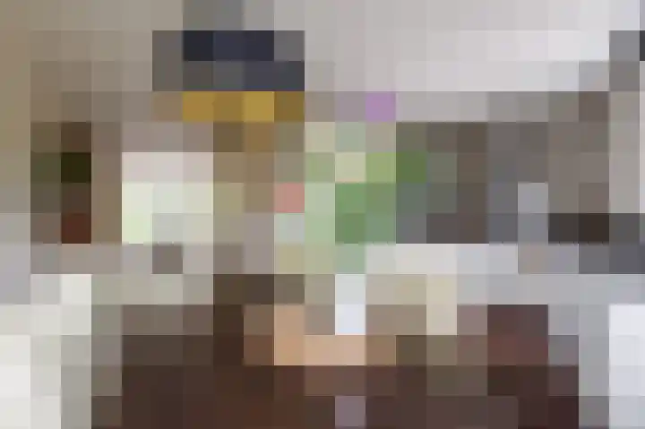 Tjariet 56 Groningen thumbnail 32