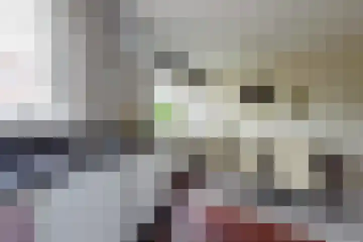 Tjariet 56 Groningen thumbnail 35