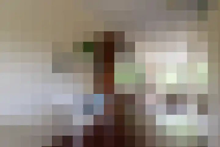Tjariet 56 Groningen thumbnail 38