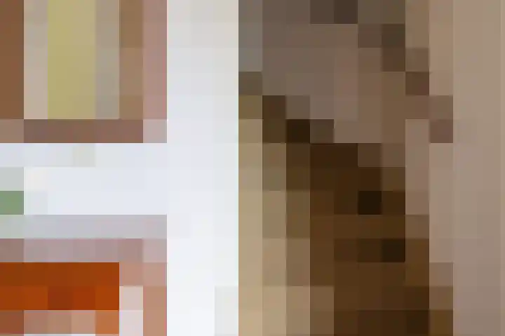 Tjariet 56 Groningen thumbnail 39