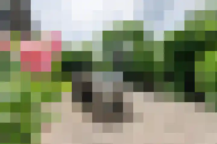 Tjariet 56 Groningen thumbnail 4