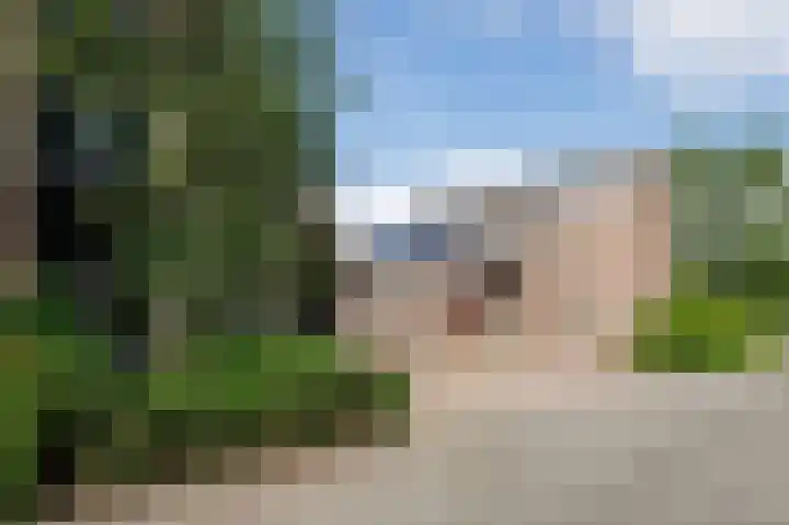 Tjariet 56 Groningen thumbnail 5