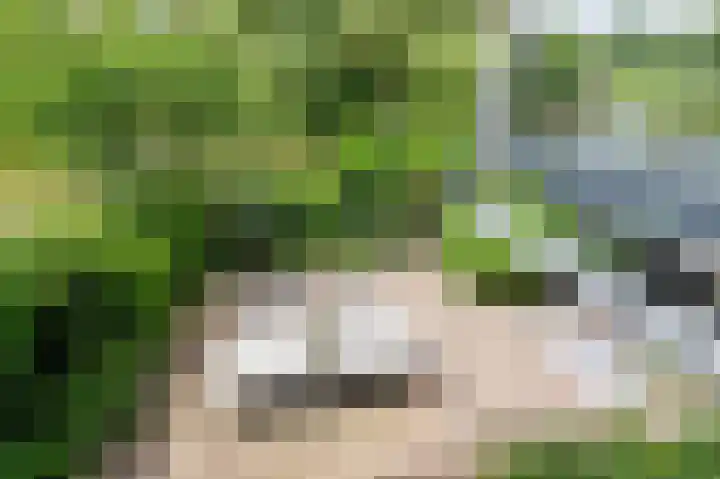Tjariet 56 Groningen thumbnail 55