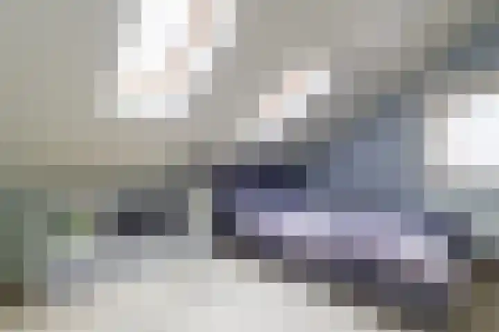 Tjariet 56 Groningen thumbnail 59