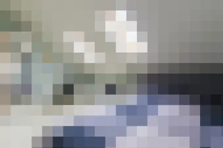 Tjariet 56 Groningen thumbnail 61