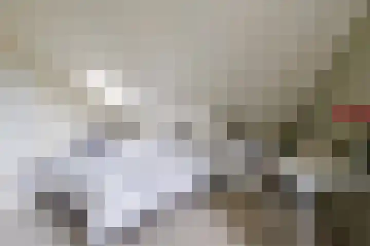 Tjariet 56 Groningen thumbnail 68