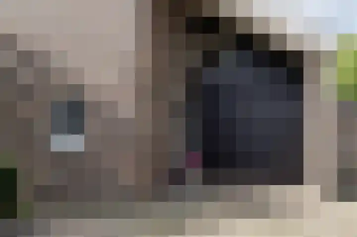Tjariet 56 Groningen thumbnail 7
