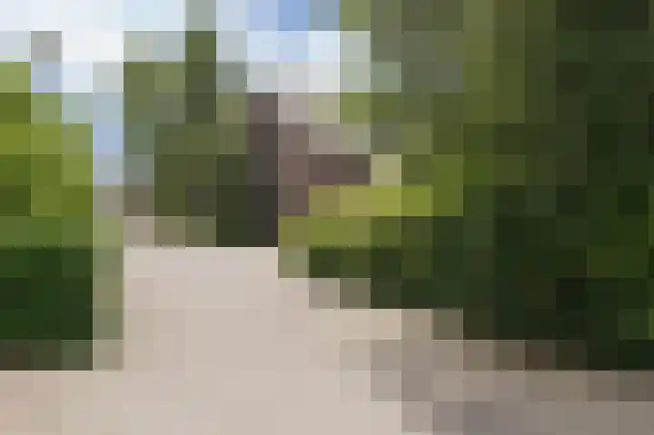 Tjariet 56 Groningen thumbnail 78