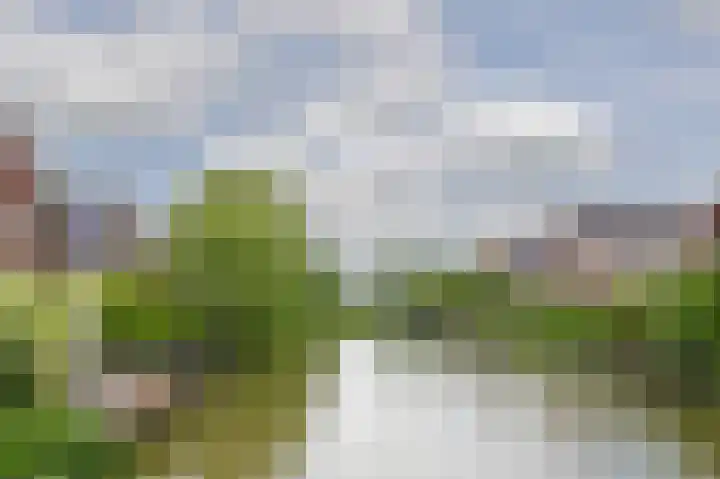Tjariet 56 Groningen thumbnail 79