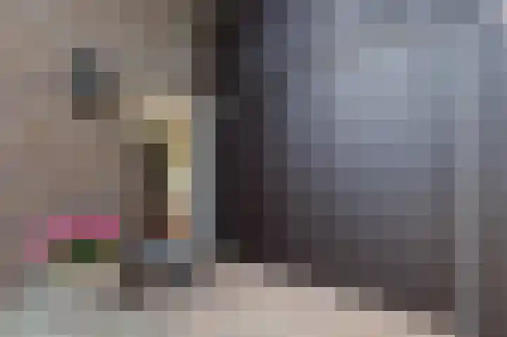 Tjariet 56 Groningen thumbnail 8