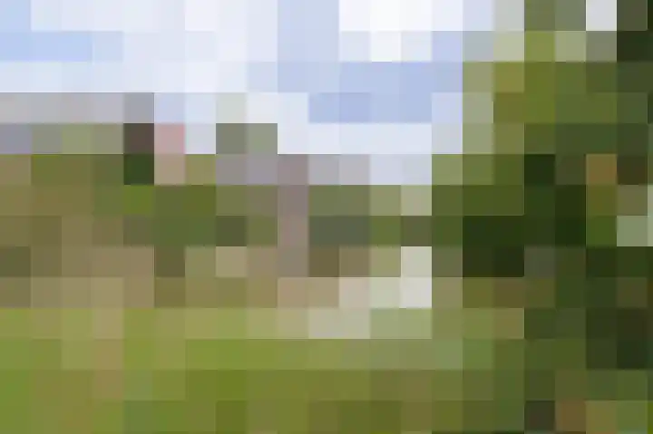Tjariet 56 Groningen thumbnail 80