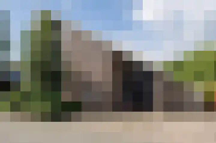 Tjariet 56 Groningen thumbnail 85