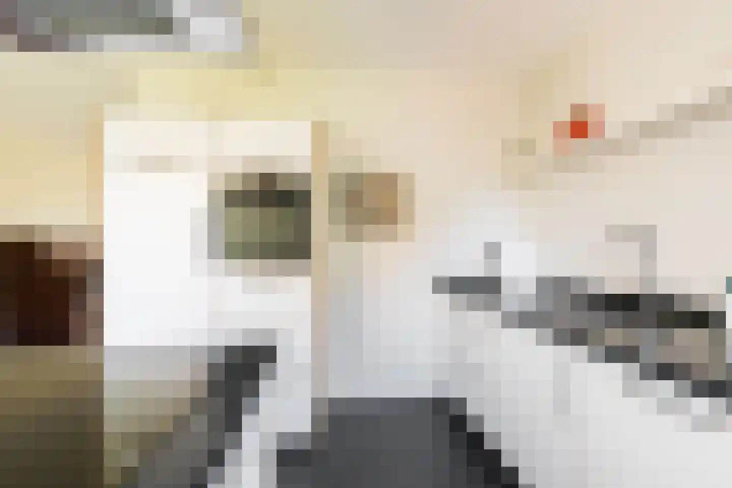Tjariet 62 Groningen thumbnail 21